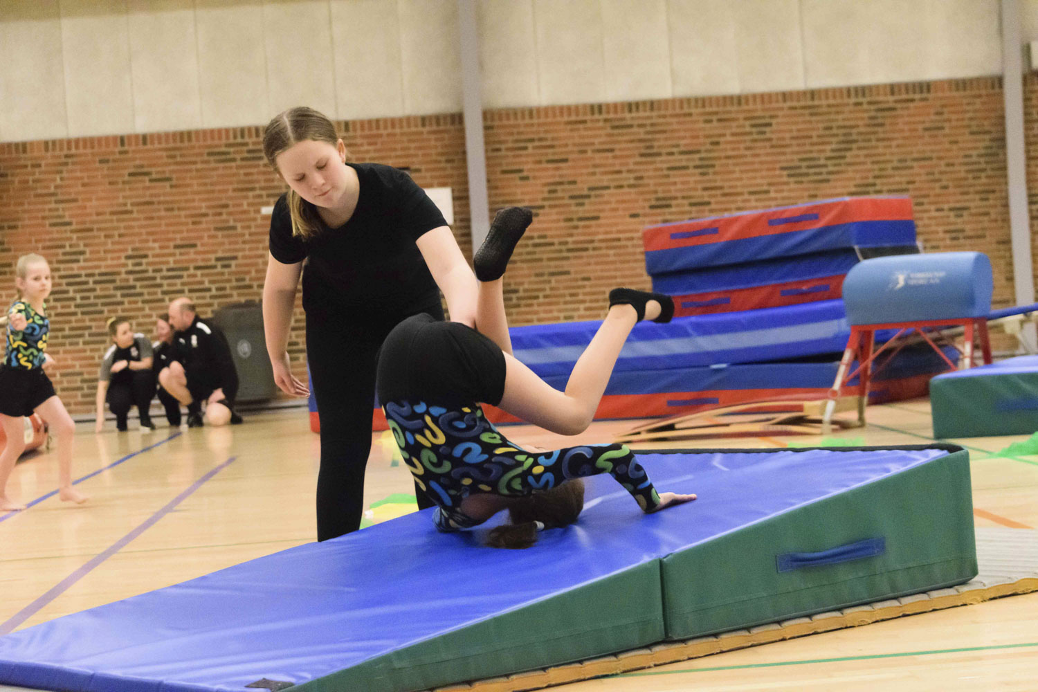 DSC_00372_Opvisning2023_Spring1