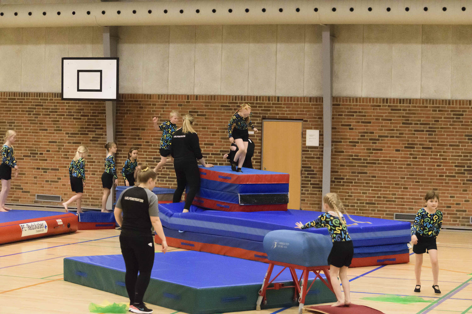 DSC_00392_Opvisning2023_Spring1