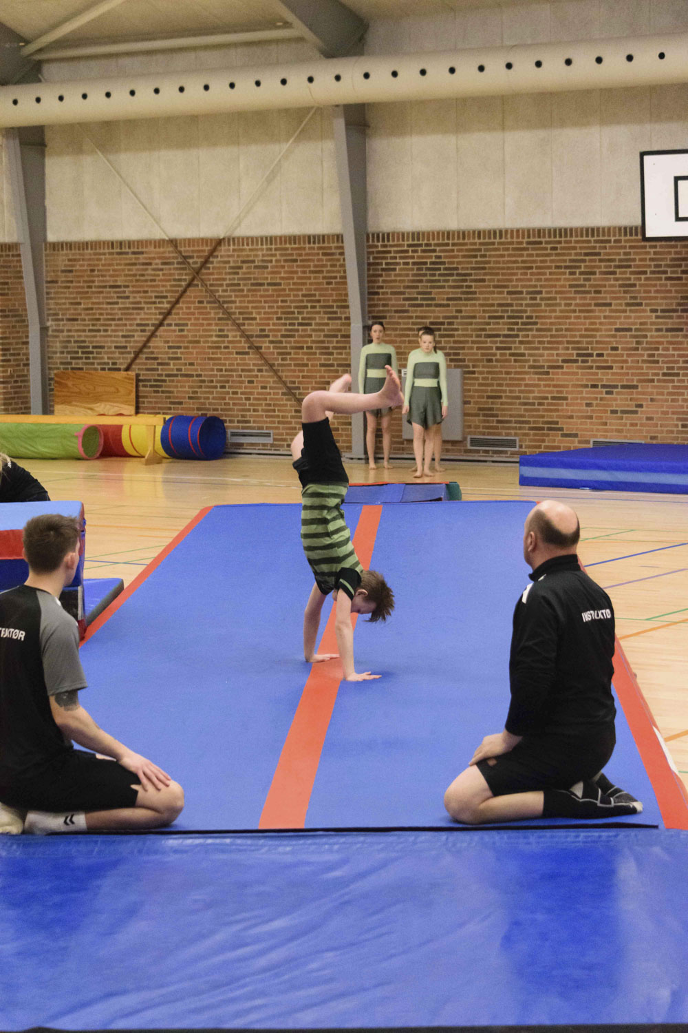 DSC_01220_Opvisning2023_Spring2