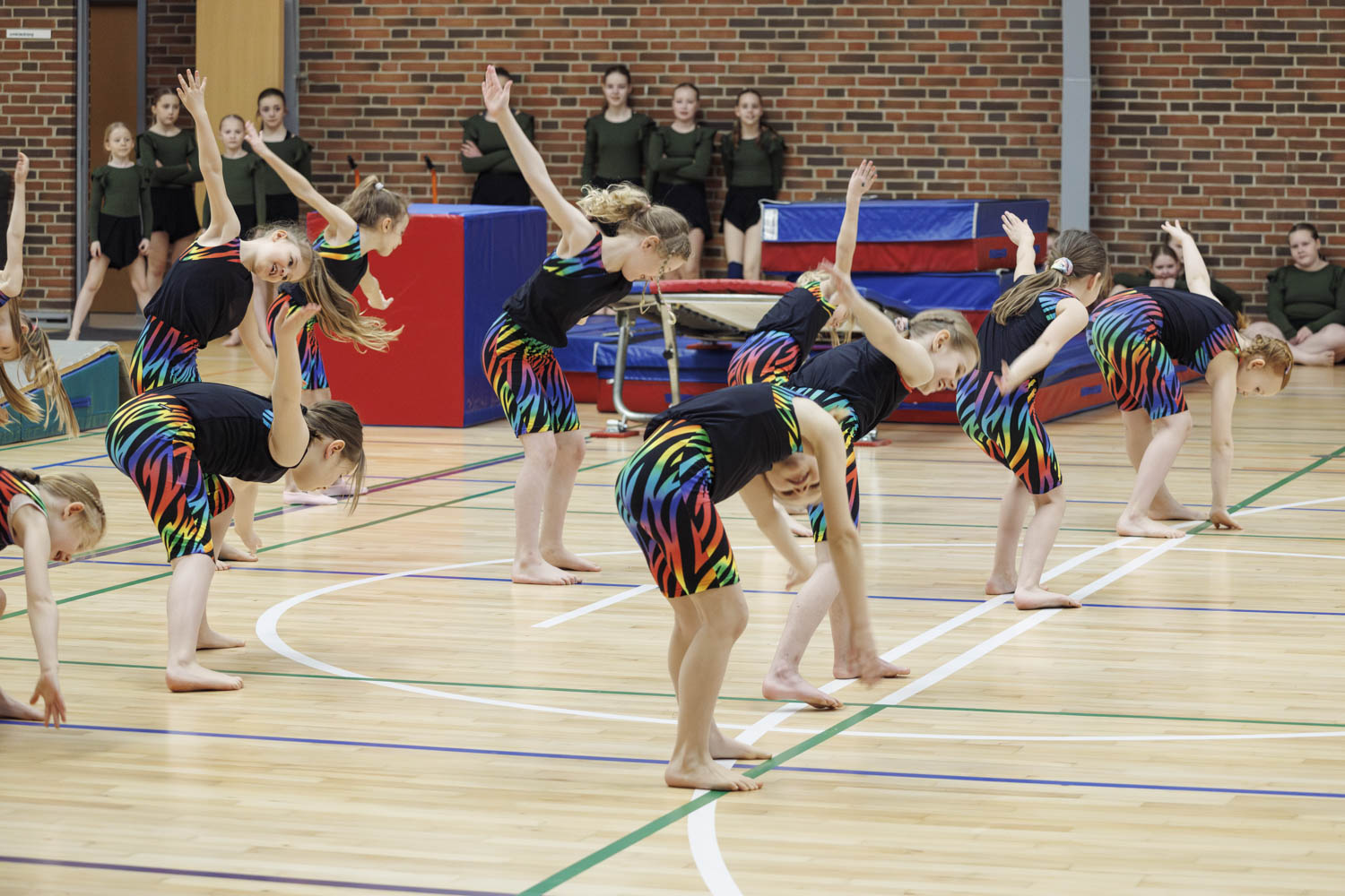 TIF_gymnastikopvisning2024_0368_Spring1