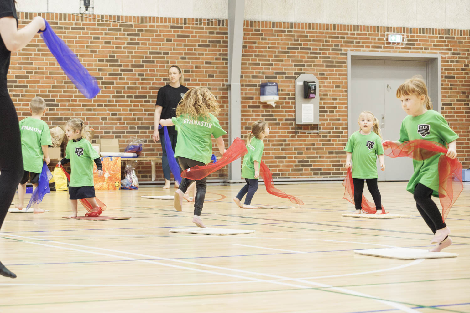 TIF_gymnastikopvisning2024_1121_krudtuglerne