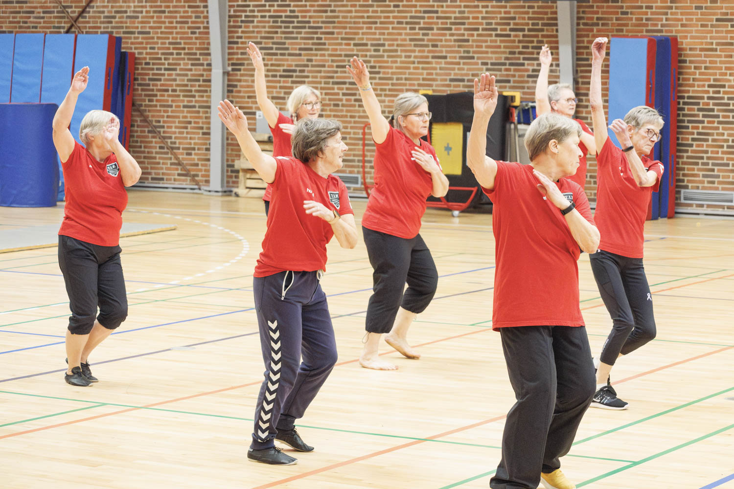 TIF_gymnastikopvisning2024_1540_mandagsholdet