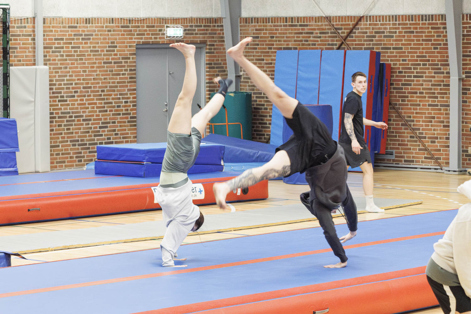 TIF_gymnastikopvisning2024_1559_Spring3