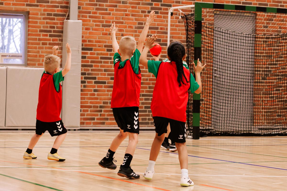 _MG_0125TIF-miniput-håndbold