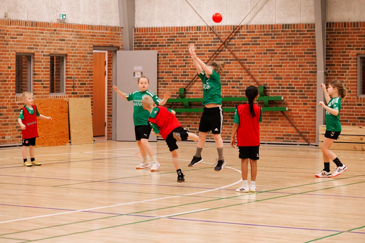 _MG_0202TIF-miniput-håndbold