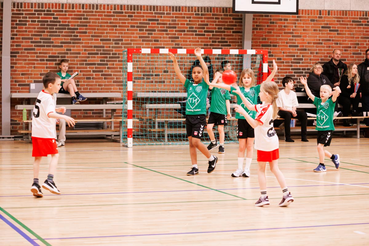 _MG_0627TIF-miniput-håndbold