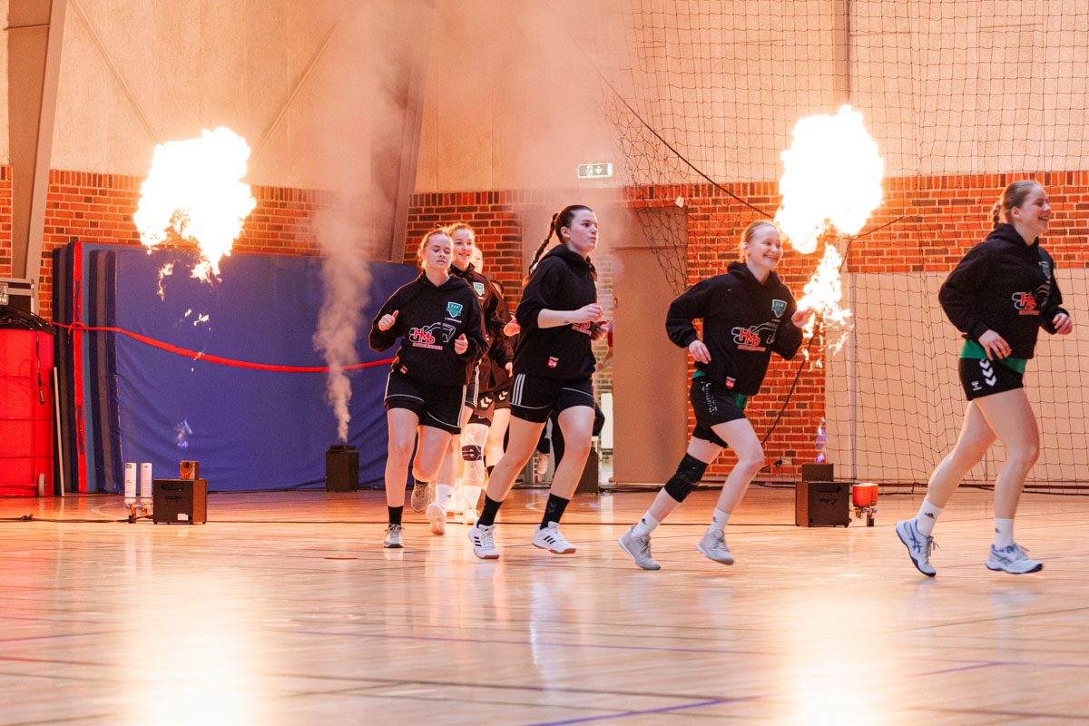 _MG_3573-TIF-gødvadGIF-håndbold