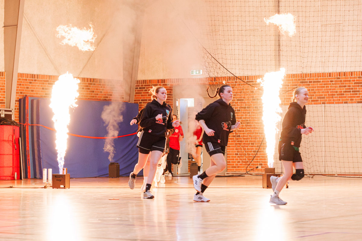 _MG_3574-TIF-gødvadGIF-håndbold