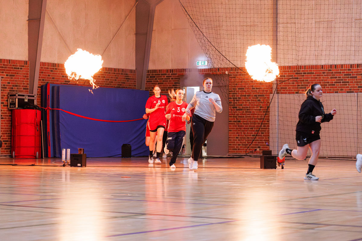 _MG_3578-TIF-gødvadGIF-håndbold