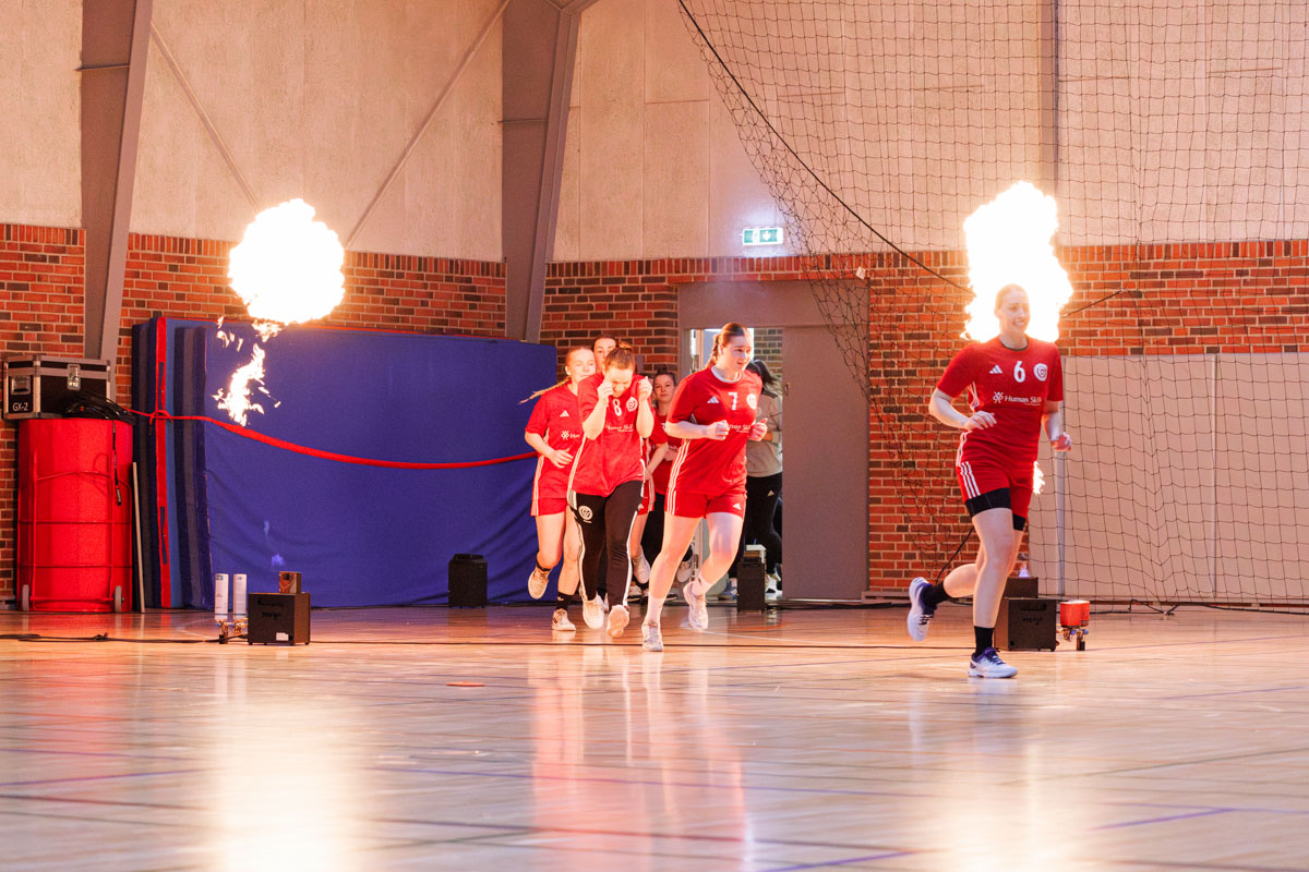 _MG_3581-TIF-gødvadGIF-håndbold