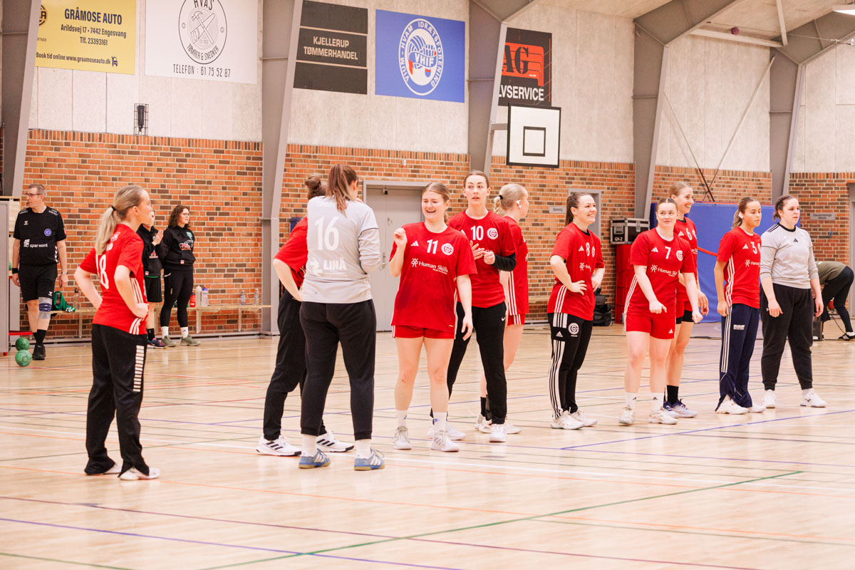 _MG_3592-TIF-gødvadGIF-håndbold