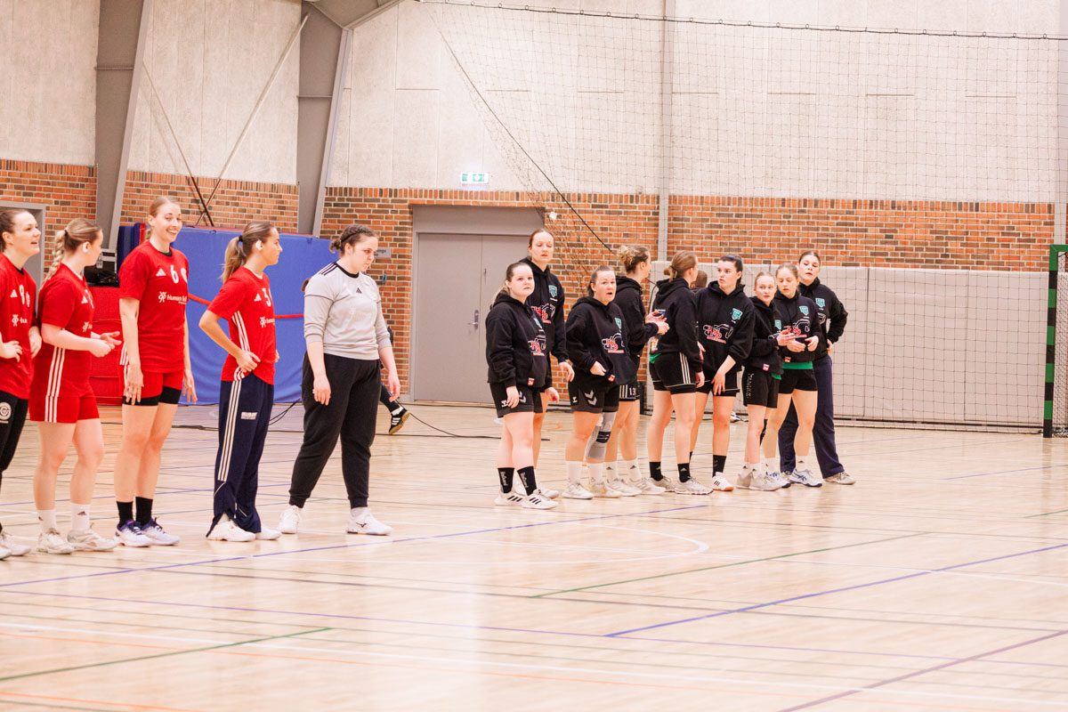 _MG_3593-TIF-gødvadGIF-håndbold