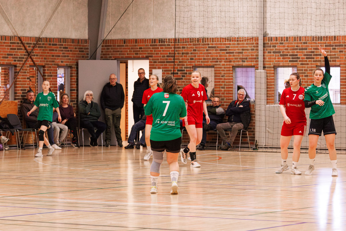 _MG_3621-TIF-gødvadGIF-håndbold