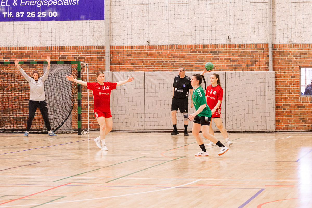 _MG_3624-TIF-gødvadGIF-håndbold