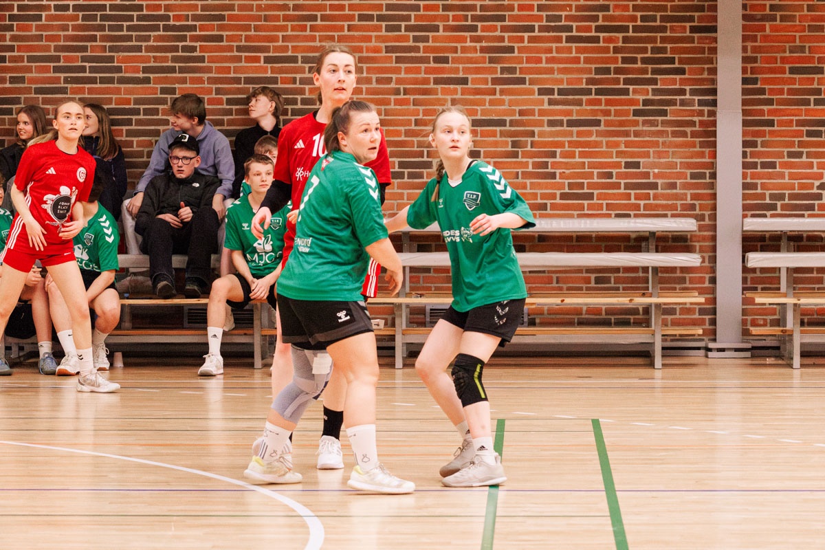 _MG_3647-TIF-gødvadGIF-håndbold