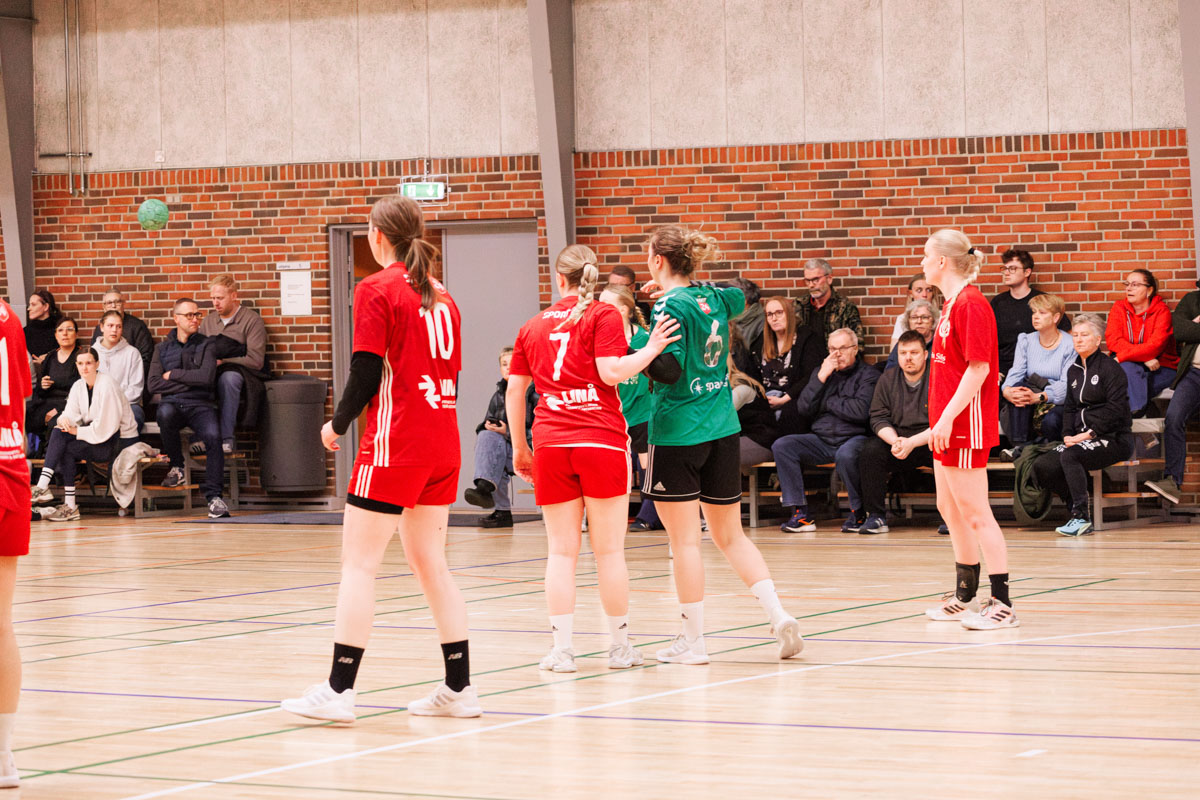 _MG_3654-TIF-gødvadGIF-håndbold