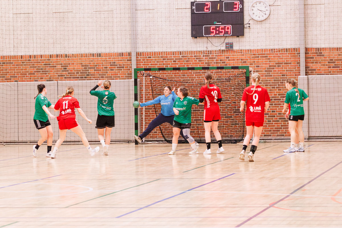 _MG_3665-TIF-gødvadGIF-håndbold