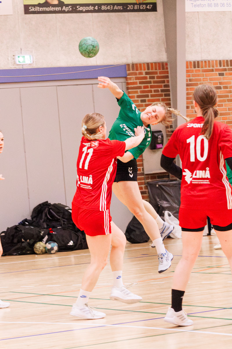 _MG_3721-TIF-gødvadGIF-håndbold