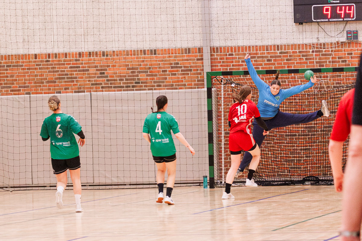 _MG_3732-TIF-gødvadGIF-håndbold