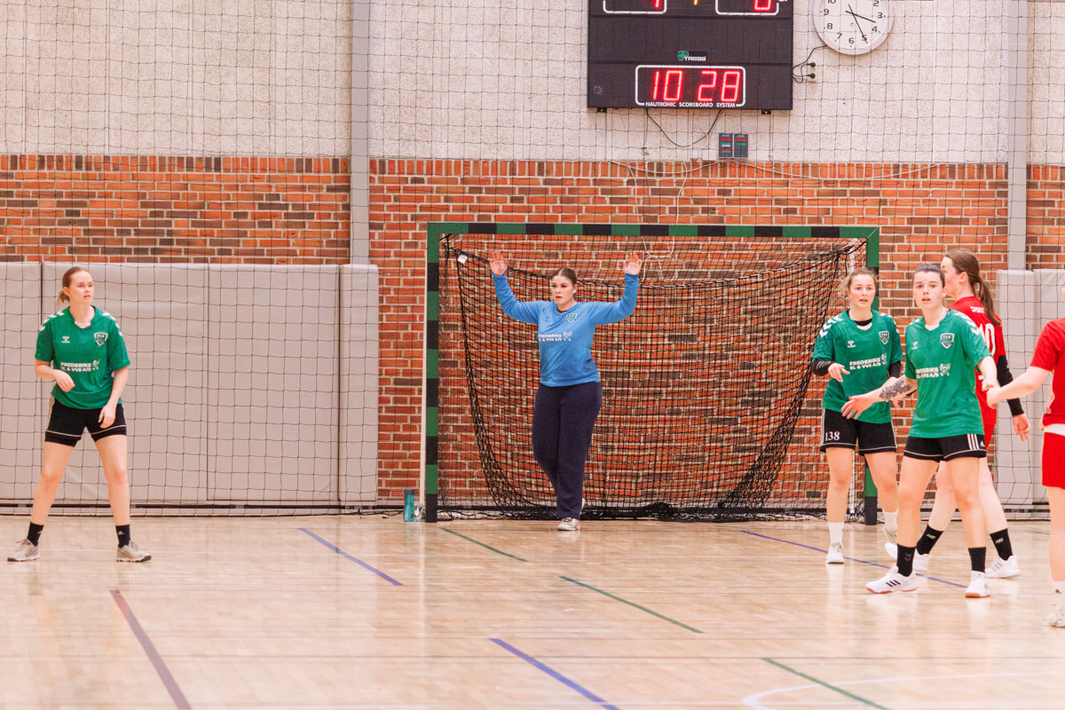 _MG_3744-TIF-gødvadGIF-håndbold