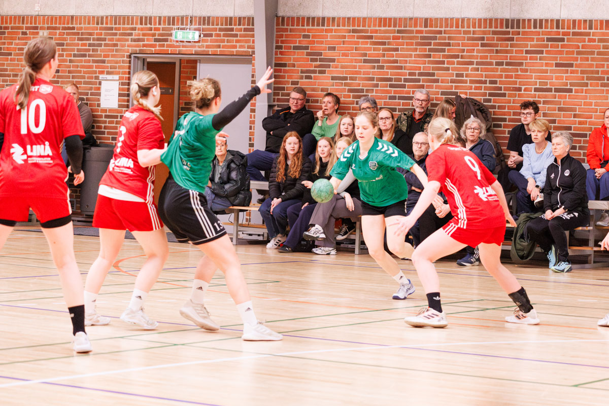 _MG_3763-TIF-gødvadGIF-håndbold