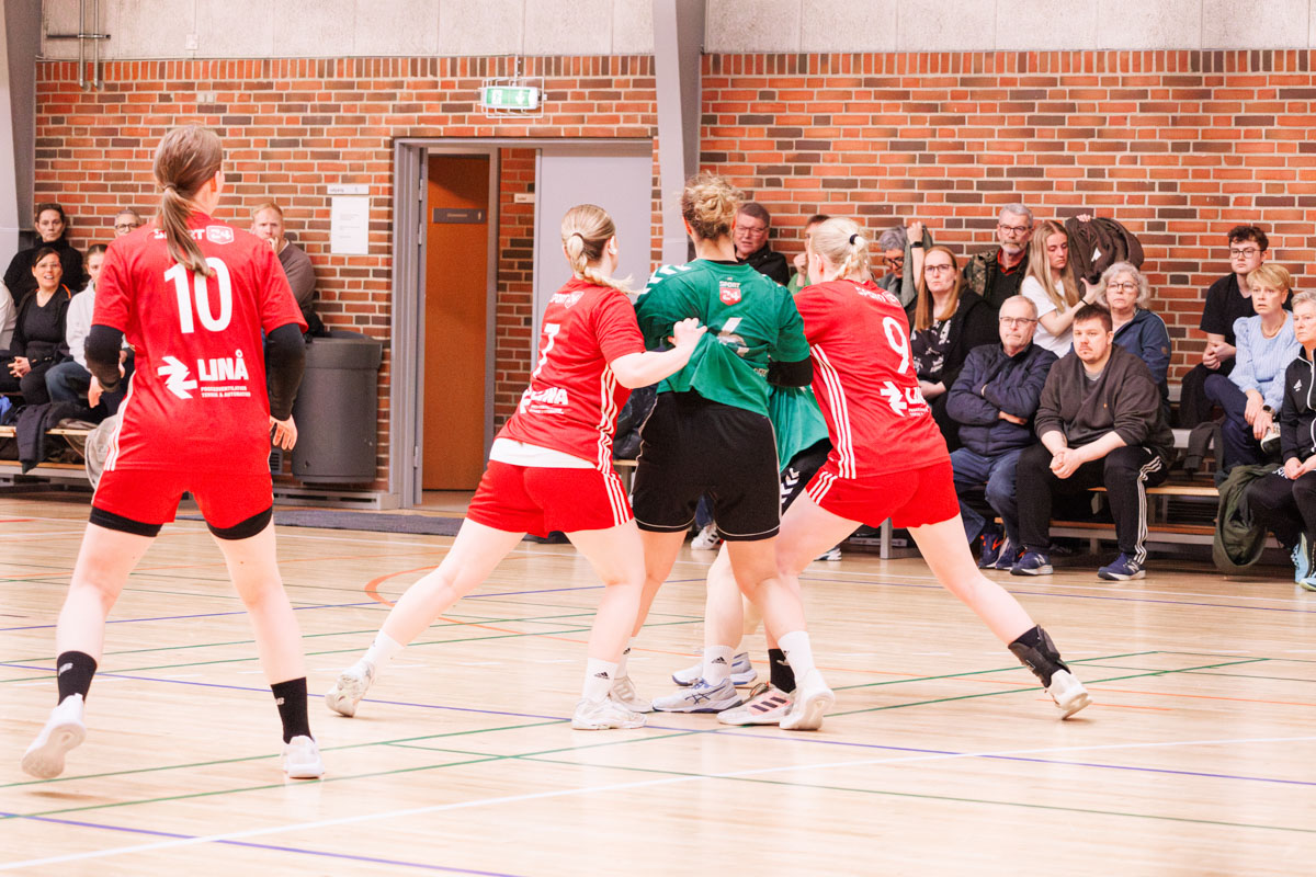 _MG_3766-TIF-gødvadGIF-håndbold