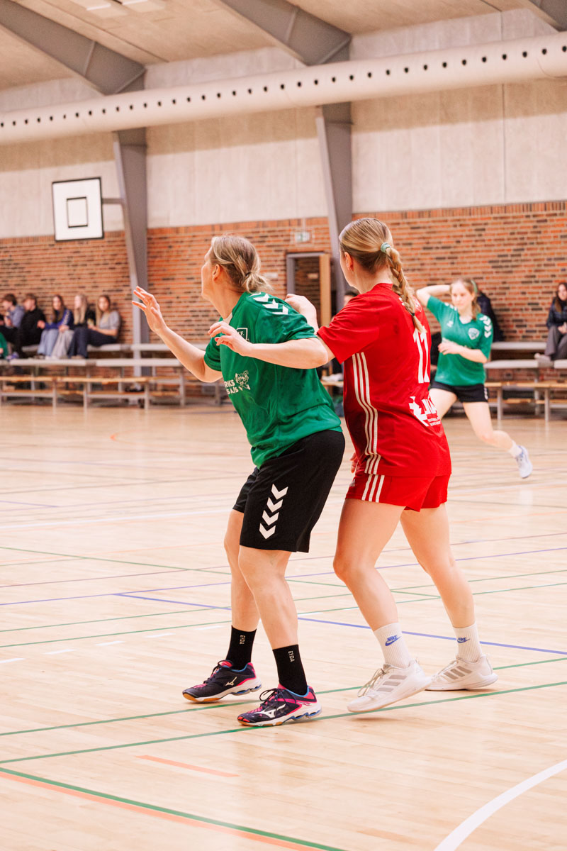 _MG_3778-TIF-gødvadGIF-håndbold