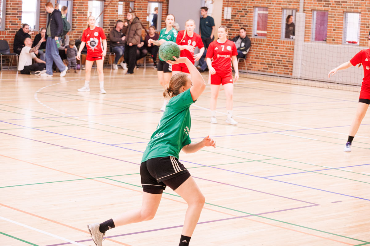 _MG_3798-TIF-gødvadGIF-håndbold
