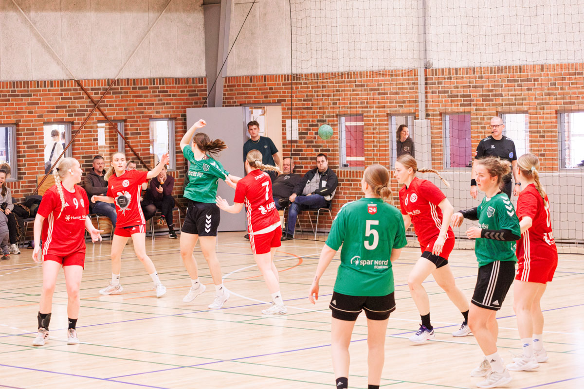 _MG_3806-TIF-gødvadGIF-håndbold