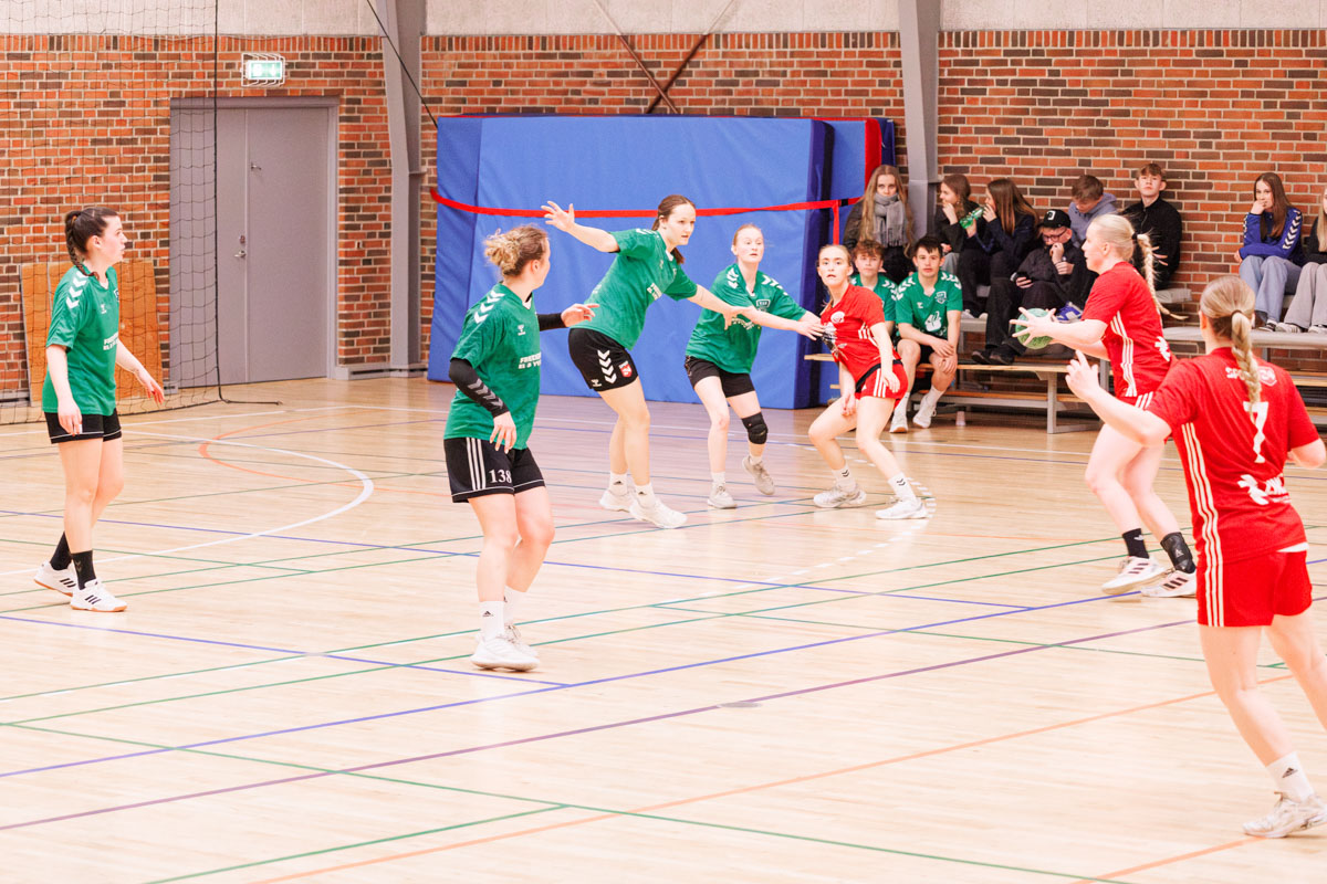 _MG_3813-TIF-gødvadGIF-håndbold