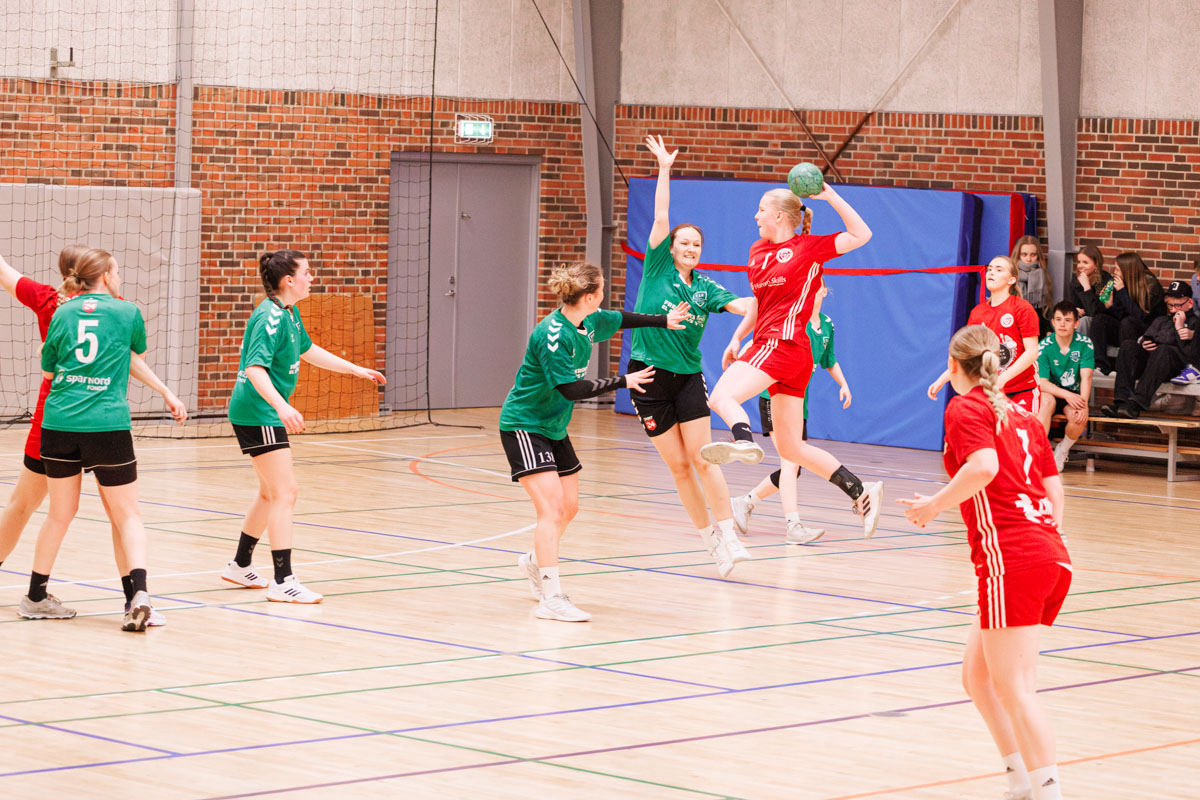 _MG_3816-TIF-gødvadGIF-håndbold