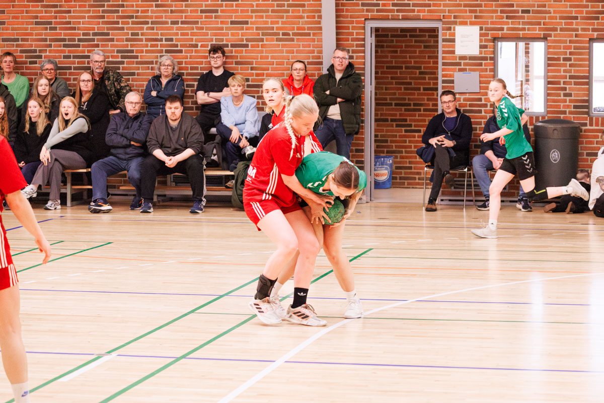 _MG_3858-TIF-gødvadGIF-håndbold