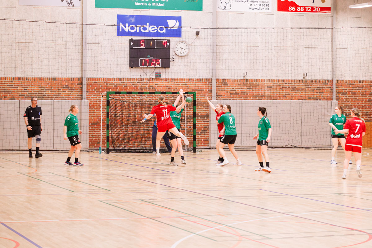 _MG_3867-TIF-gødvadGIF-håndbold