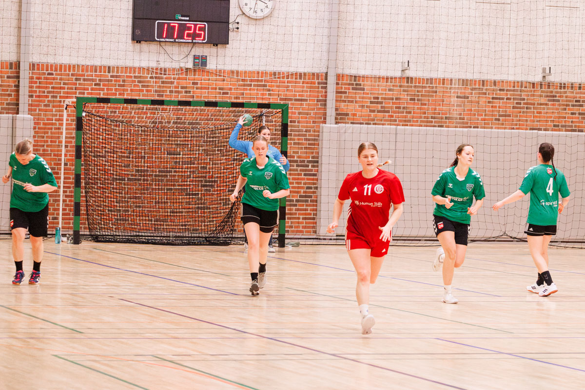 _MG_3875-TIF-gødvadGIF-håndbold