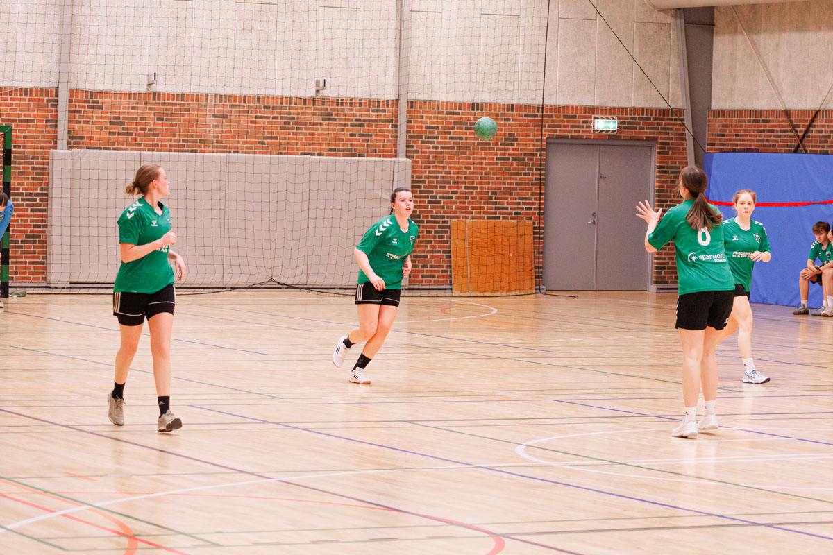 _MG_3880-TIF-gødvadGIF-håndbold