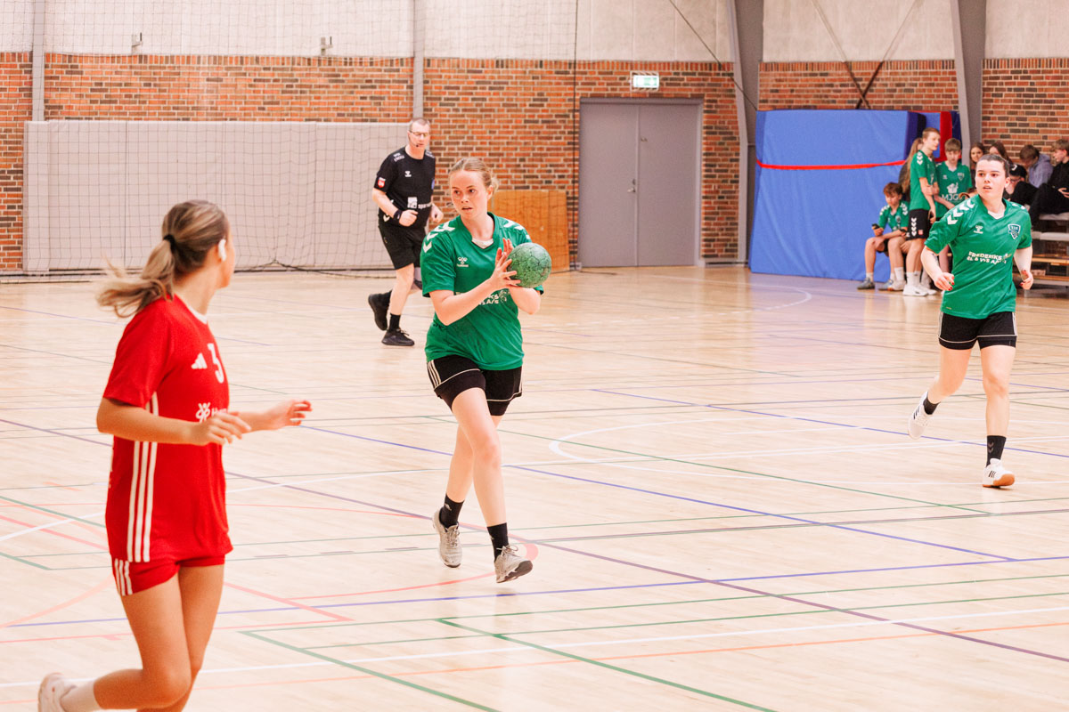 _MG_3886-TIF-gødvadGIF-håndbold