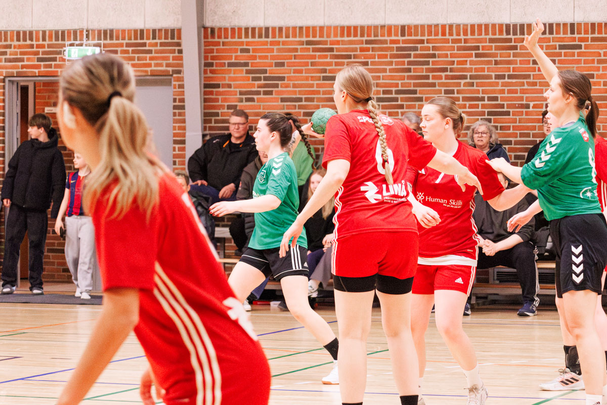 _MG_3906-TIF-gødvadGIF-håndbold