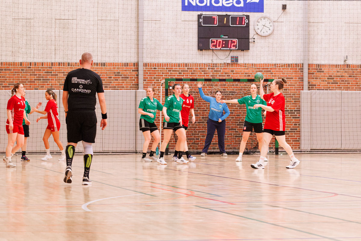 _MG_3936-TIF-gødvadGIF-håndbold