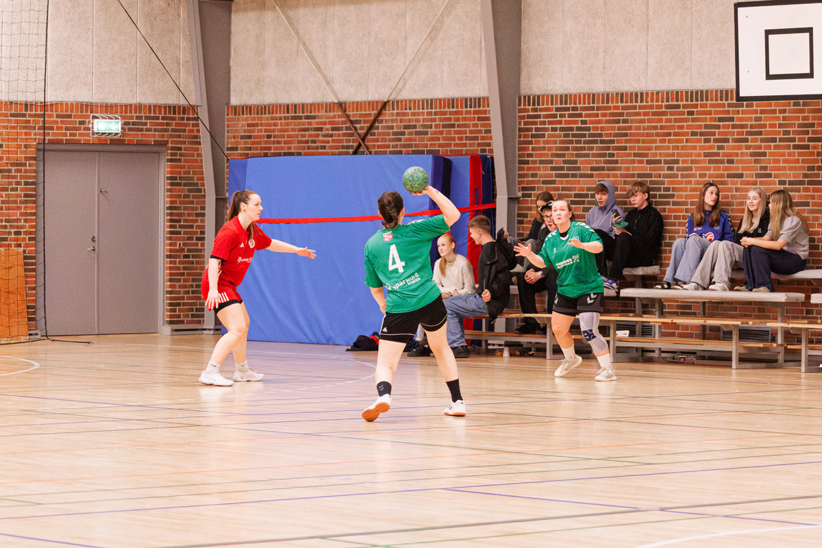 _MG_3982-TIF-gødvadGIF-håndbold