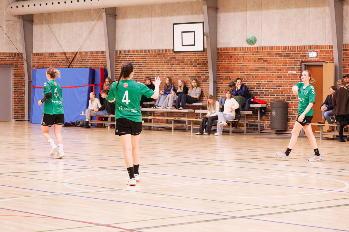 _MG_3989-TIF-gødvadGIF-håndbold
