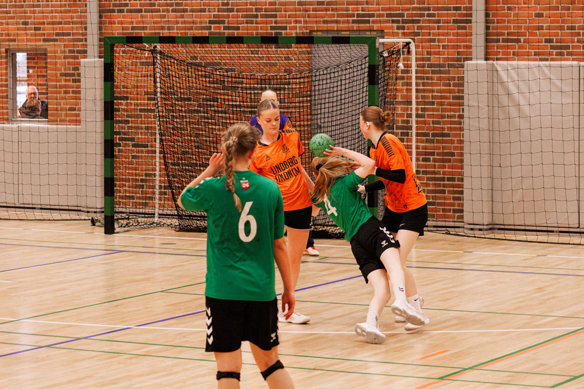 _MG_4581-U15-TIF-Snejbjerg-håndbold